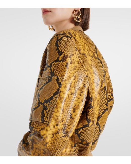 Isabel Marant Metallic Cerem Snake-Effect Leather Bomber Jacket