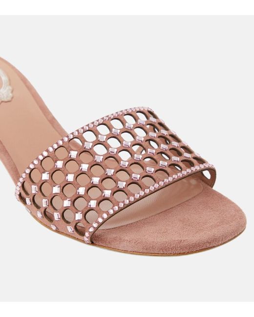 Rene Caovilla Pink Embellished Suede Mules