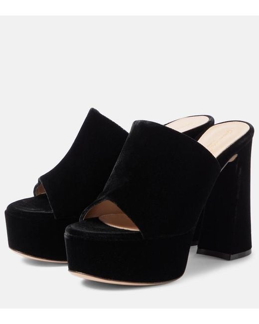 Gianvito Rossi Black Holly Velvet Platform Mules