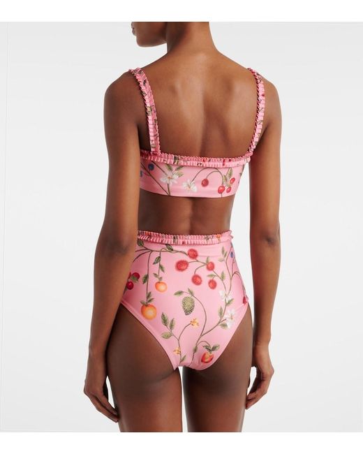 Agua Bendita Pink Nopal Printed Bikini Bottoms