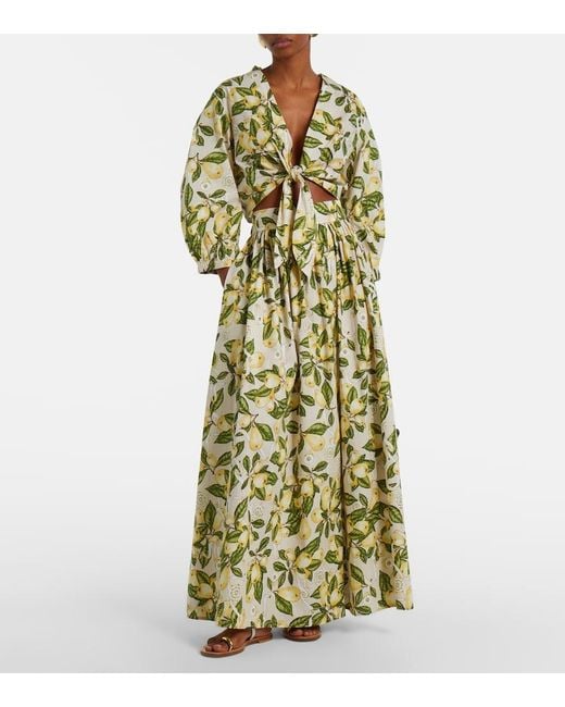 Adriana Degreas Metallic Printed Cotton-Blend Maxi Skirt