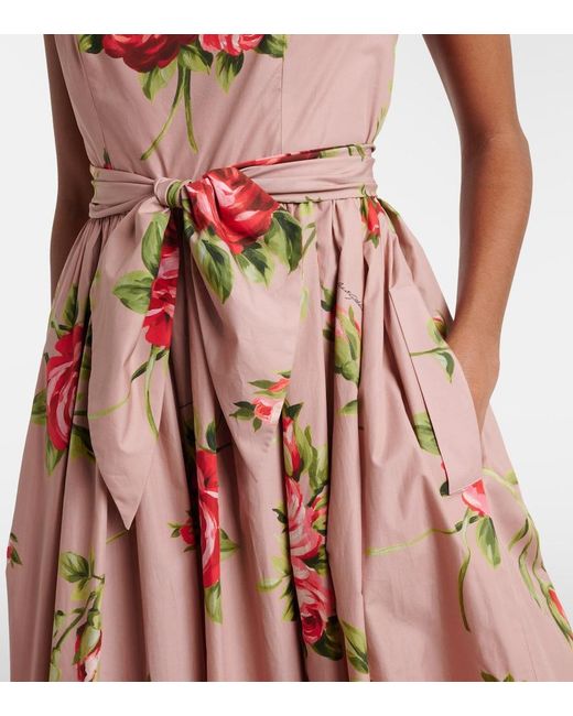 Dolce & Gabbana Red Floral Belted Cotton Midi Dress