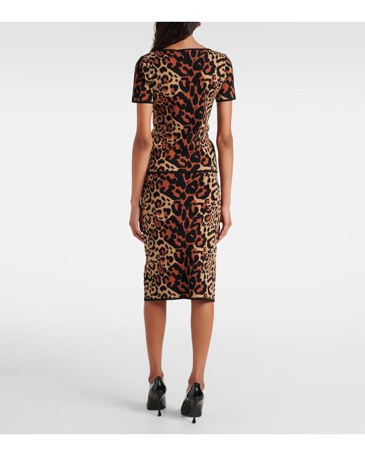 Blumarine Black Shoert Leopard-Print Top