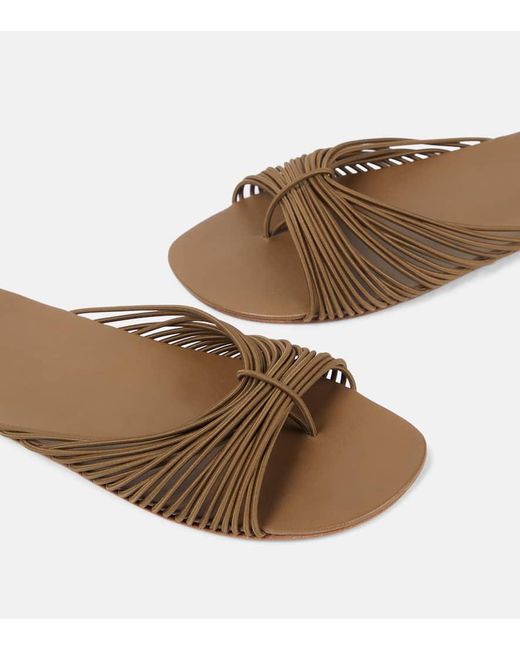 The Row Brown Sara Slides
