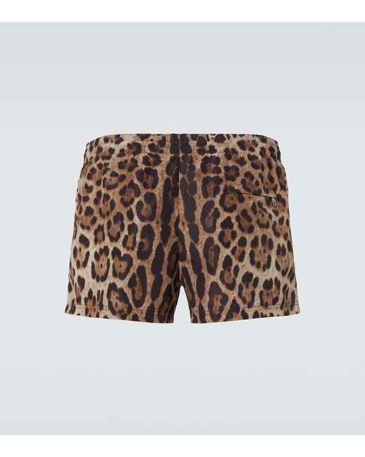 Dolce & Gabbana Brown Leopard-Print Swim Trunks for men