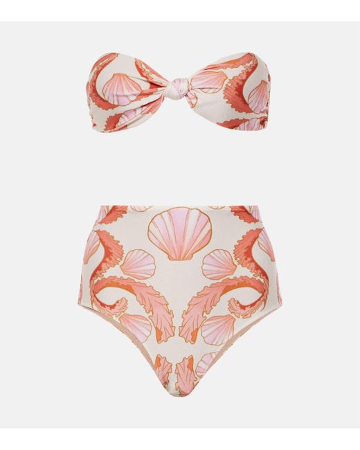 Bikini Seashell a taille haute Adriana Degreas en coloris Pink