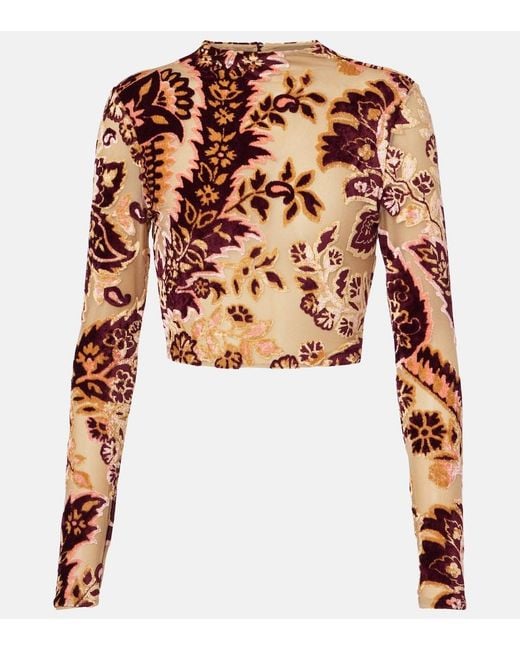 Etro White Paisley Tulle And Velvet Jacquard Crop Top