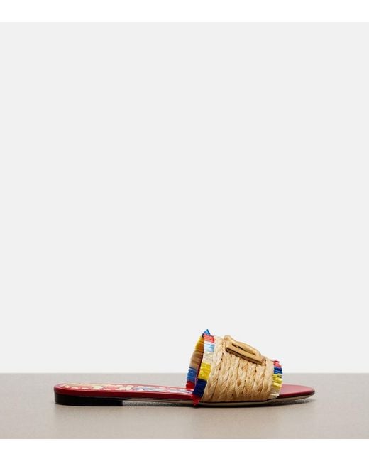 Dolce & Gabbana Multicolor Dg Slides