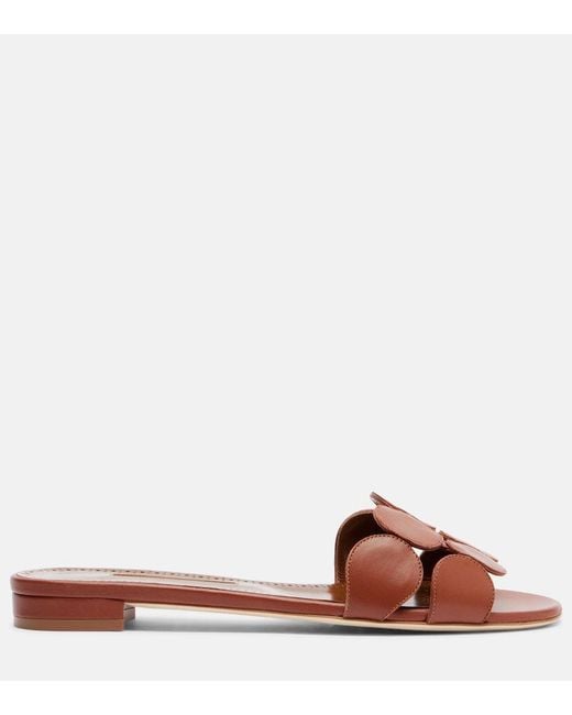 Manolo Blahnik Brown Haribalmuflat Leather Slides