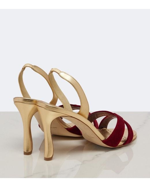 Manolo Blahnik Pink Callydra Velvet-Trimmed Leather Sandals