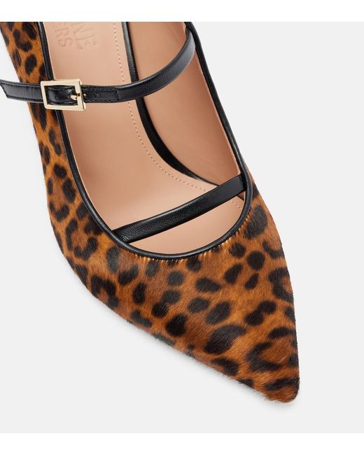 Malone Souliers Brown Gala 70 Leopard-Print Calf Hair Mules