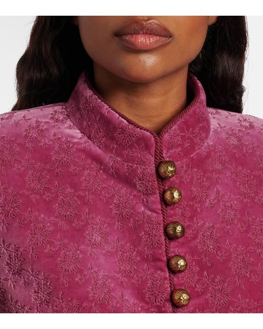 Veste Raccourcie En Velours De Coton A Fleurs Chloé en coloris Red