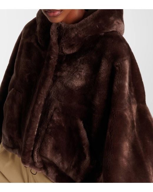 Chaqueta Cropped De Borrego Blancha de color Brown