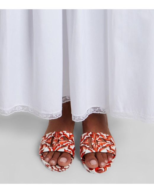 Dolce & Gabbana Red Majolica Dg Rubber Slides