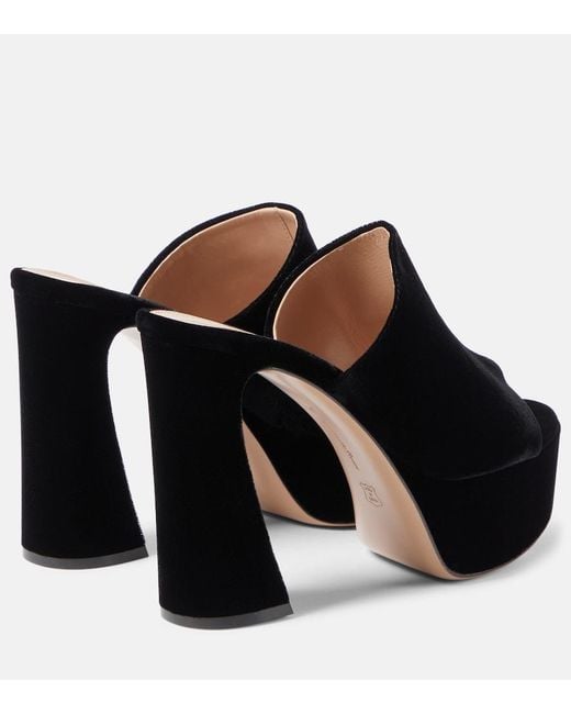 Gianvito Rossi Black Holly Velvet Platform Mules