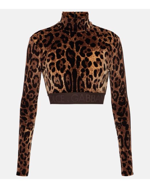 Dolce & Gabbana Brown Jacquard Leopard-print Cropped Top