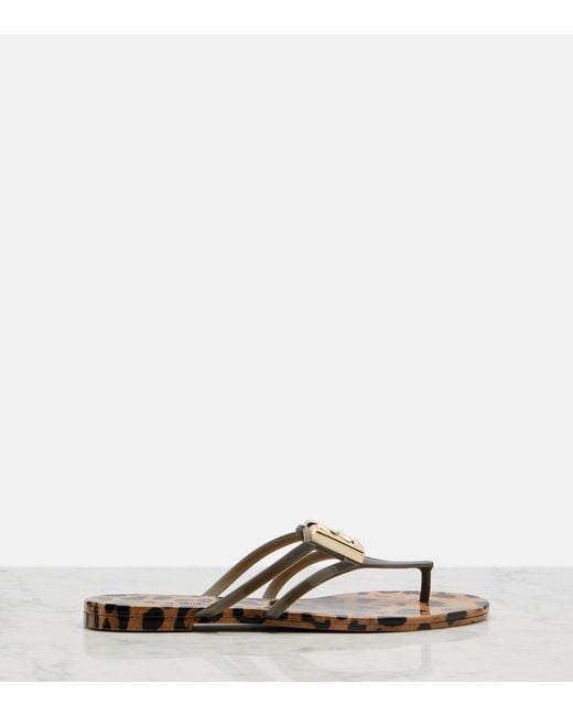 Dolce & Gabbana Brown Dg Leopard-Print Thong Sandals