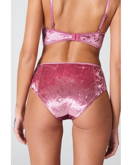 velvet panty