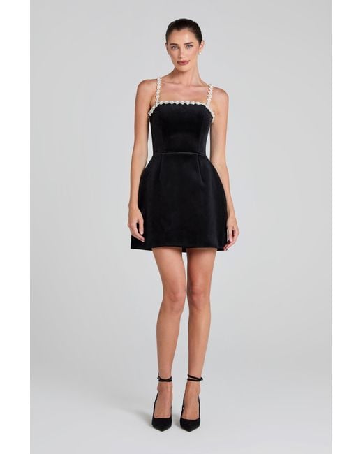 Nadine Merabi Black Em Velvet Dress