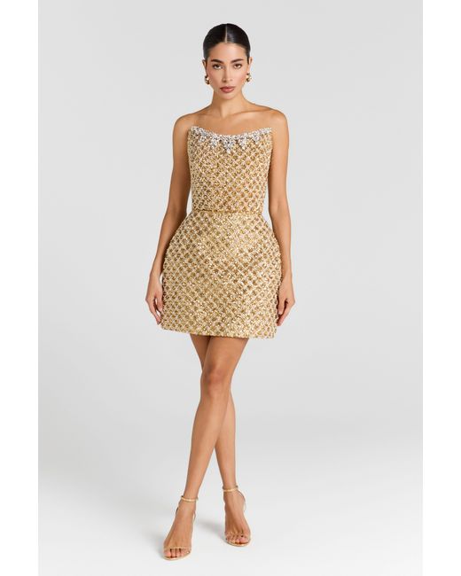Mini Multicolor Nadine Merabi Savannah Dress