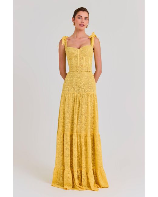 Nadine Merabi Metallic Miranda Dress