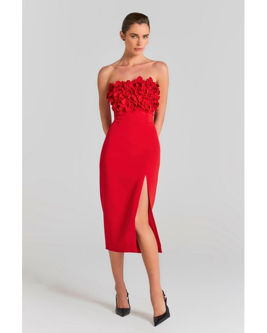 Nadine Merabi Red Jasmine Dress