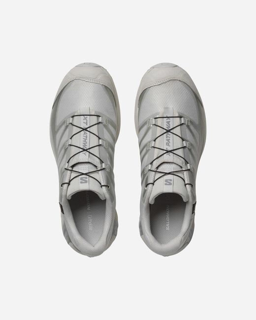 Salomon Xt-Pathway Gtx in het Gray