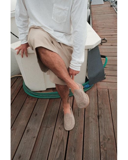 Naked Wolfe Brown Reef Taupe Suede