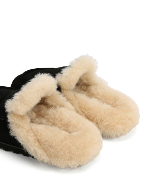 Naked Wolfe Black Corded