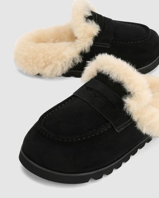 Naked Wolfe Black Corded