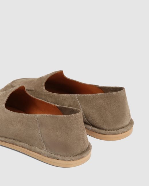 Naked Wolfe Brown Reef Taupe Suede