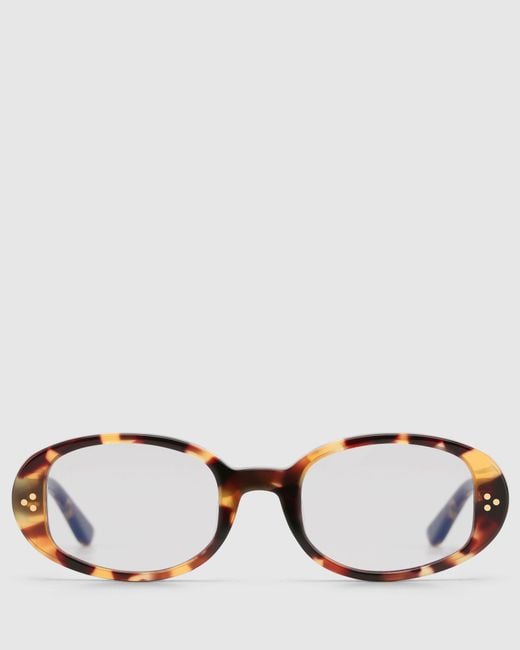Naked Wolfe Brown Milan Havana Sunglasses