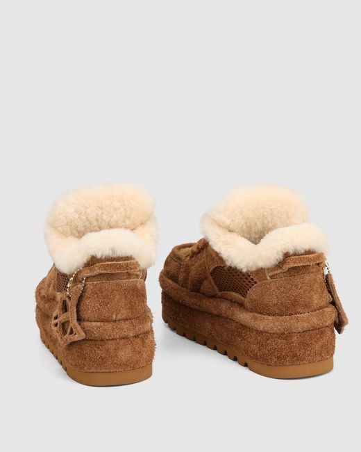 Naked Wolfe Brown Beau Suede