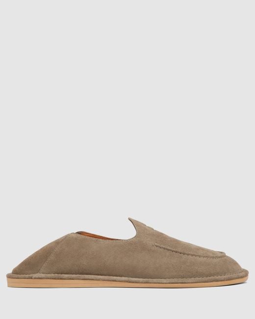 Naked Wolfe Brown Reef Taupe Suede