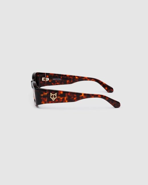 Naked Wolfe Brown Motor Cuba Sunglasses