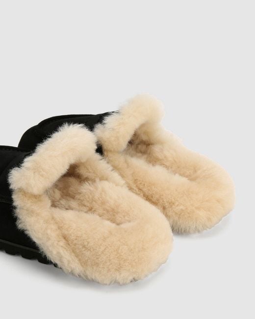 Naked Wolfe Black Corded