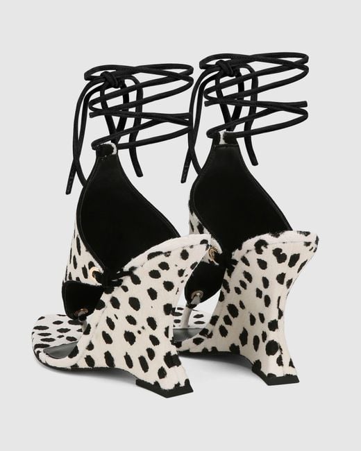 Naked Wolfe Black Rampage Dalmation Pony