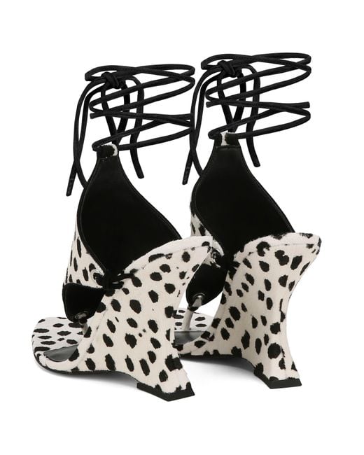 Naked Wolfe Black Rampage Dalmation Pony