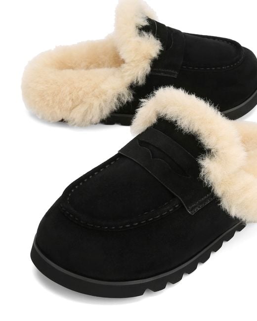 Naked Wolfe Black Corded