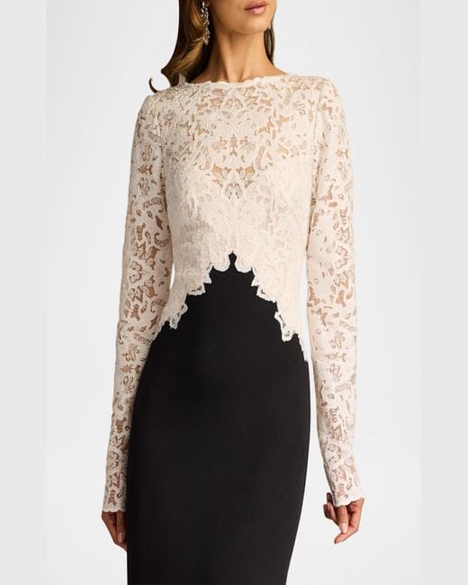 Tadashi Shoji Black A-Line Crepe & Sequin Lace Gown