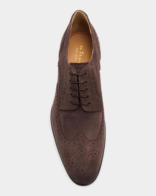 Kiton Brown Apos;S Wingtip Suede Oxfords for men