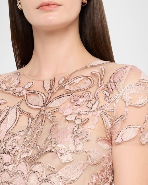 Naeem Khan Floral Raffia Embroidered Tulle Short-Sleeve Gown in Pink | Lyst Naeem Khan Floral Raffia Embroidered Tulle Short-Sleeve Gown in Pink | Lyst