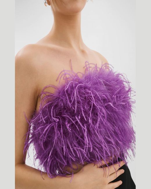 Lamarque Purple Zaina Feather Bustier Crop Top