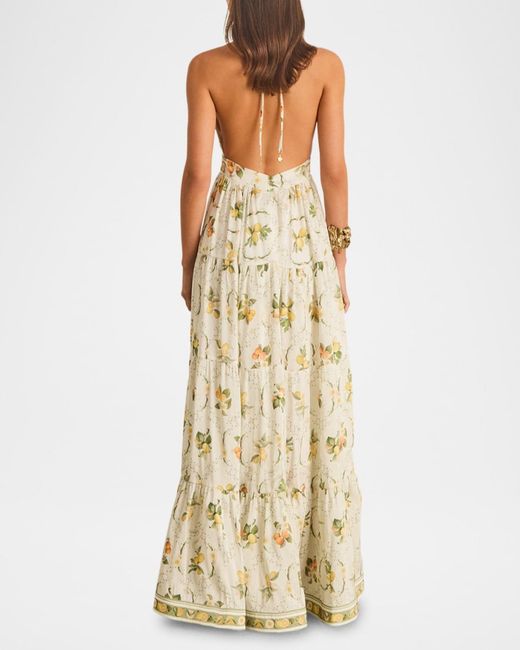 Aqua Blu Australia Jacinta Backless Halter Maxi Dress in Metallic | Lyst