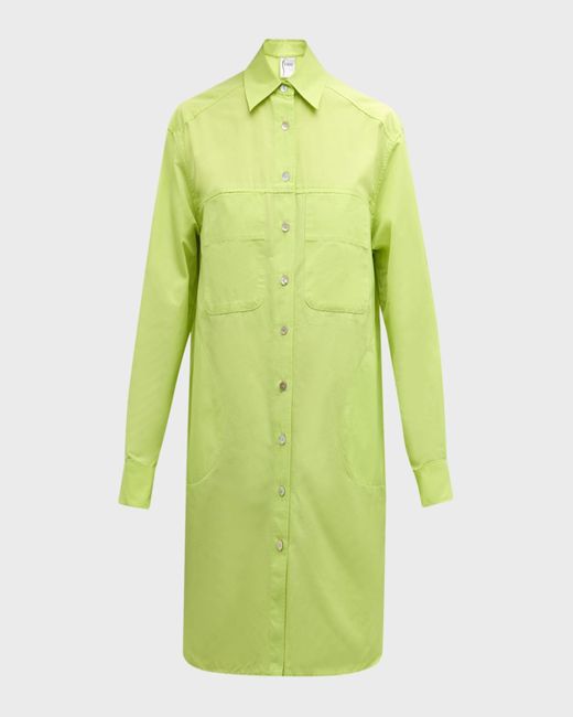 Finley Green Nash Taffeta Mini Shift Shirtdress