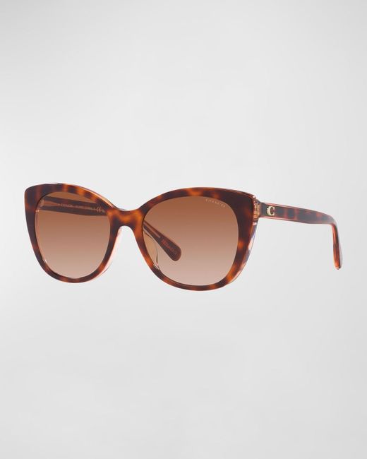 COACH Brown Polarized C-monogram Acetate Cat-eye Sunglasses
