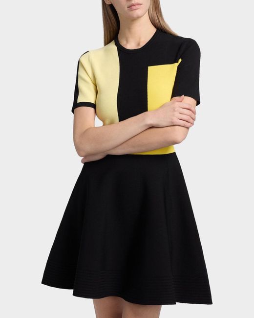 Jason Wu Fit-&-Flare Colorblock Knit Mini Dress in Black | Lyst