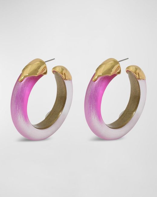 Alexis Pink Luminous Lucite Dipped Hoop Earrings