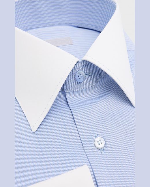 Stefano Ricci Blue Contrast Collar-cuff Stripe Dress Shirt for men