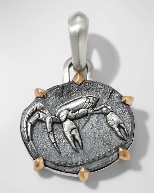 David Yurman Metallic 17mm Zodiac Amulet Enhancer In Silver & Gold for men